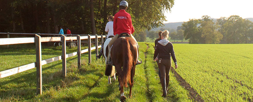 ehorses_portrait_galerie