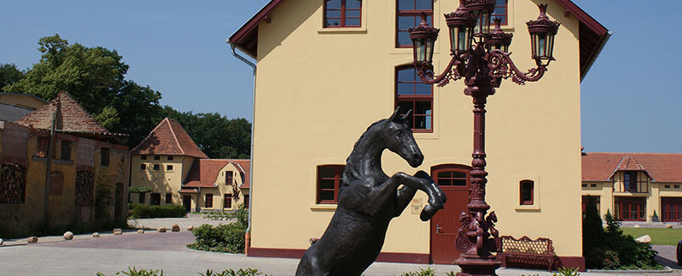 ehorses_portrait_galerie