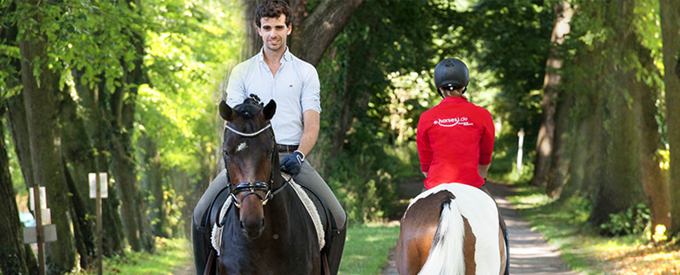 ehorses_portrait_galerie