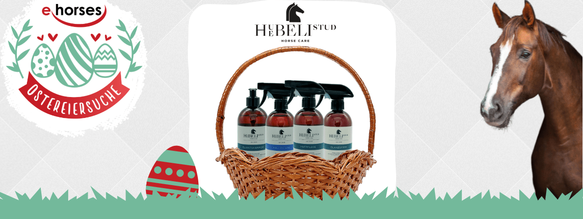 03 – Magazin Header – Ostereiersuche ehorses