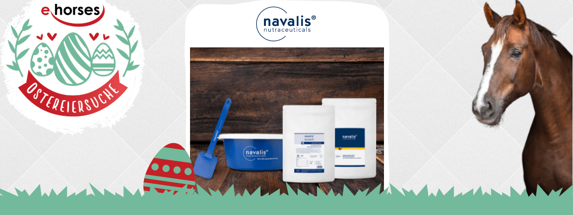 06 – Magazin Header – Ostereiersuche ehorses