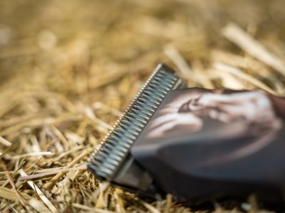 ehorses Produkt des Monats im November: OPAL HORSE Schermaschine