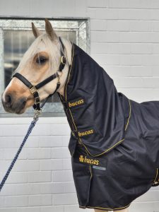 Erfahrungen mit Bucas Irish Turnout Decke