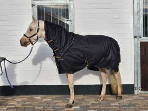 Erfahrungen mit Bucas Irish Turnout Decke