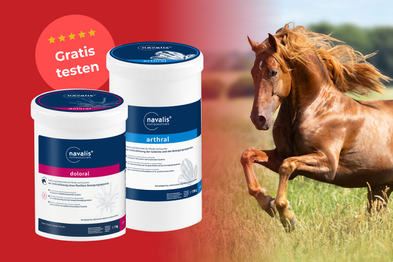 10_2025 Produkttest (navalis nutraceuticals) Magazin Header 780×520 Produkttest mit navalis im Oktober