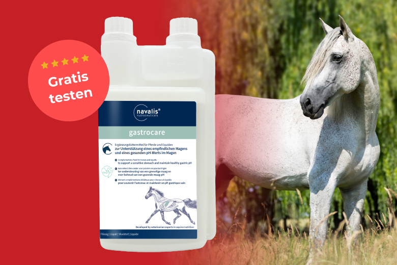 Produkttest mit navalis