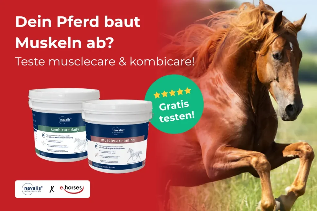 Teste navalis kombicare daily horse und navalis musclecare amino horse von navalis 4 Wochen kostenlos