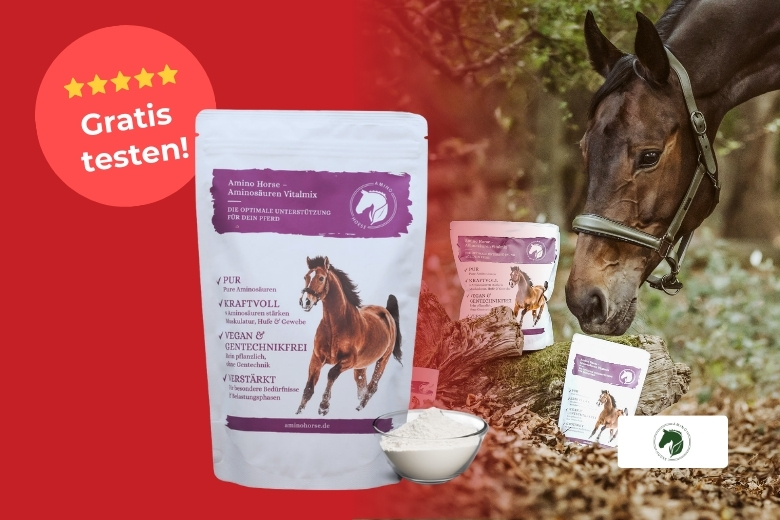 Produkttest mit AminoHorse: Teste den Aminosäuren Vitalmix