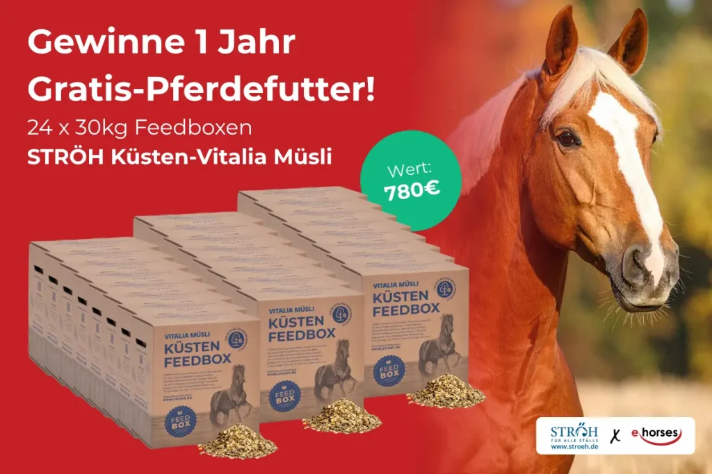 Werbebanner für ein Gewinnspiel auf rotem Hintergrund. Links oben steht der Text „Gewinne 1 Jahr Gratis-Pferdefutter! 24x 30kg Feedboxen STRÖH Küsten-Vitalia Müsli“. Ein grüner Kreis hebt hervor: „Wert: 780 €“. Darunter sind mehrere Reihen brauner Pappkartons („Küsten Feedbox“) aufgestellt. Rechts blickt ein braunes Pferd mit blonder Mähne ins Bild. Unten rechts befinden sich die Logos von STRÖH und ehorses.