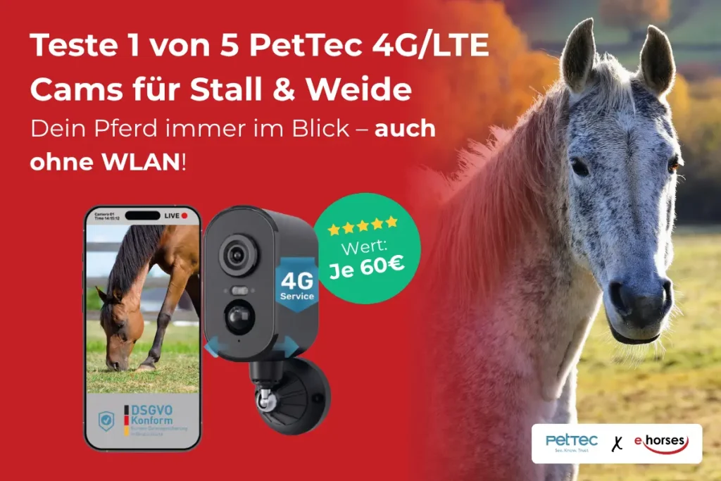 Werbegrafik von PetTec und e horses: Produkttest für 1 von 5 PetTec 4G/LTE Überwachungskameras für Stall und Weide im Wert von je 60 Euro.