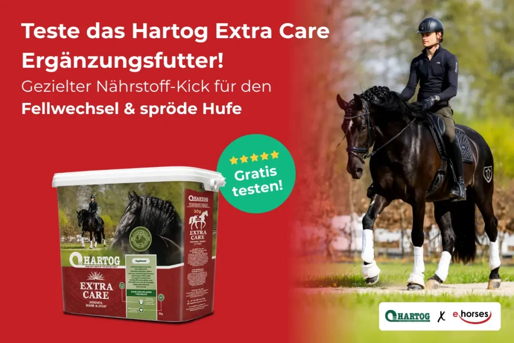 Werbegrafik von Hartog und ehorses: Links der rote Text „Teste das Hartog Extra Care Ergänzungsfutter! Gezielter Nährstoff-Kick für den Fellwechsel & spröde Hufe“. Darunter ein Eimer des Produkts „Hartog Extra Care Hooves, Mane & Coat“ und ein grüner Button mit fünf Sternen und der Aufschrift „Gratis testen!“. Rechts rennt ein braunes Pferd durch eine herbstliche Landschaft. Untern rechts stehen die Logos von Hartog und ehorses.