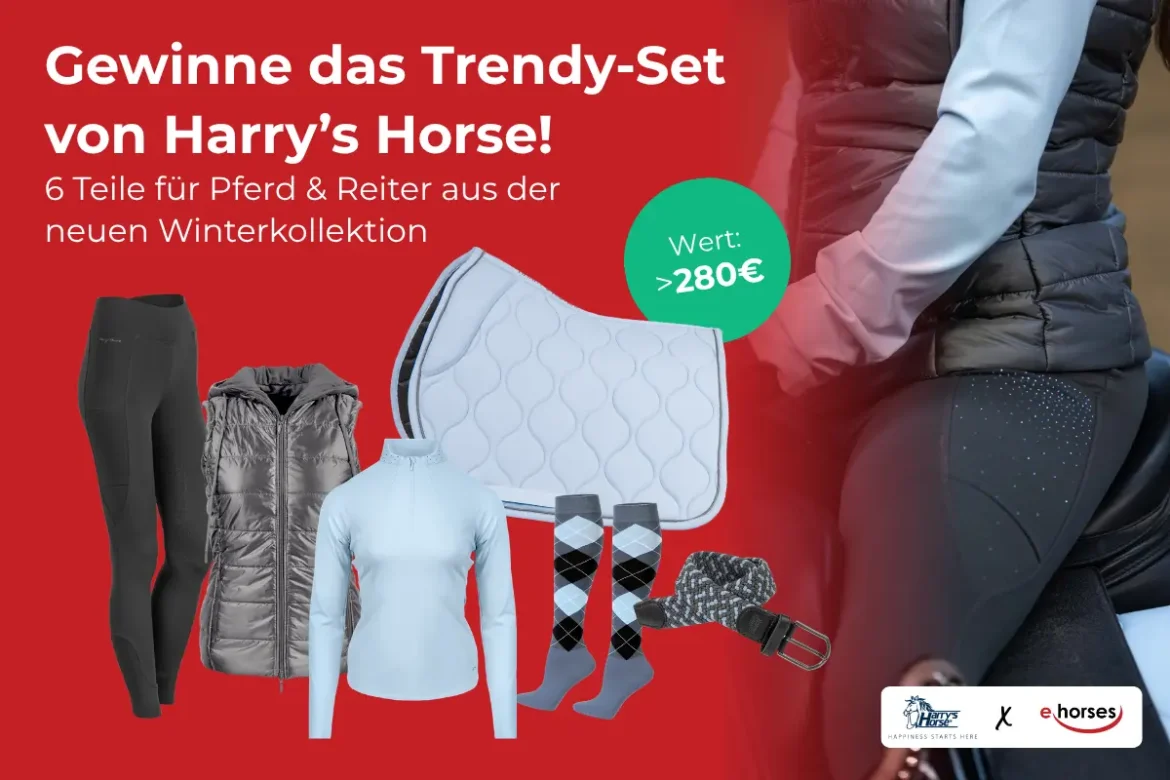 gewinnspiel-harrys-horse-1026-header Gewinnspiel von Harry’s Horse und ehorses: 6-teiliges Trendy-Set aus der neuen Winterkollektion für Pferd & Reiter im Wert von über 280 €.