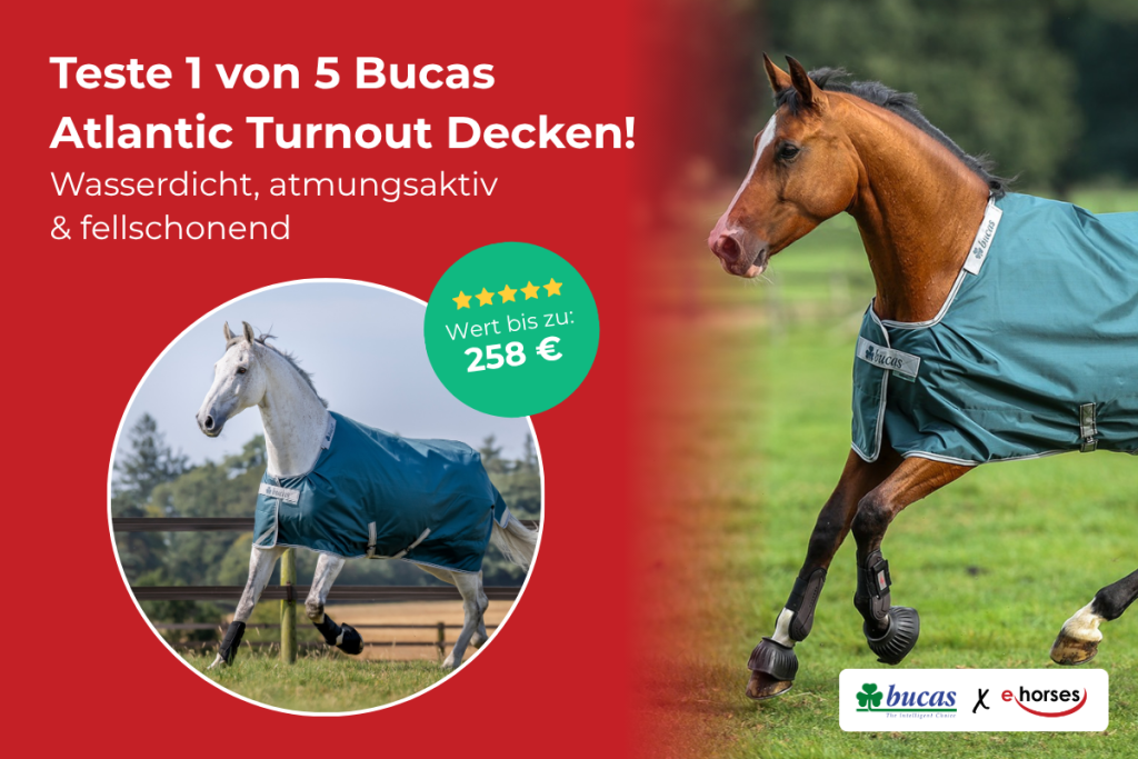 Werbegrafik von ehorses und Bucas: Produkttest für 1 von 5 Bucas Atlantic Turnout 200 Pferdedecken im Wert von bis zu 285 €. Links ein galoppierendes braunes Pferd mit violetter Decke in einem Kreis, rechts ein galoppierendes braunes Pferd mit grünem Halsteil und Decke auf einer Wiese.