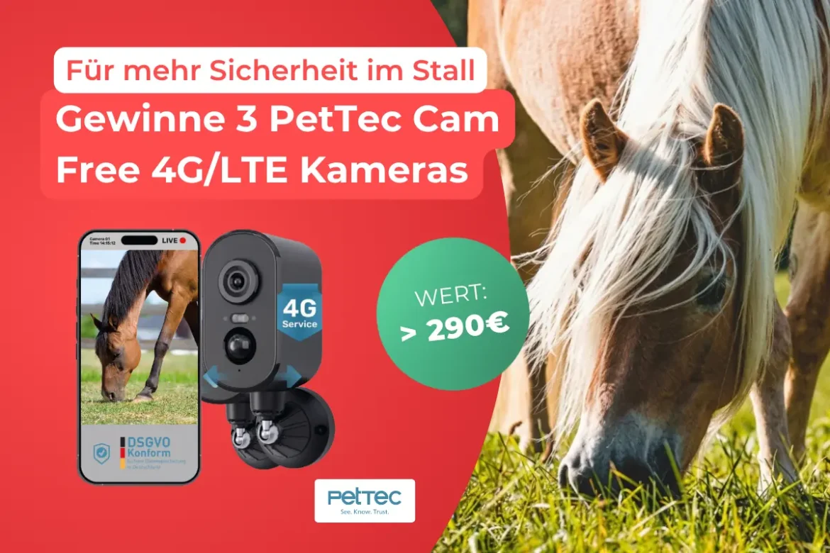 header-gewinnspiel-pettec-1026-1200×800 Gewinnspiel von PetTec für 3 Cam Free 4G/LTE Überwachungskameras im Wert von über 290 €. Auf dem Bild ist die Kamera, ein Smartphone mit Live-Übertragung und ein grasendes Pferd zu sehen.