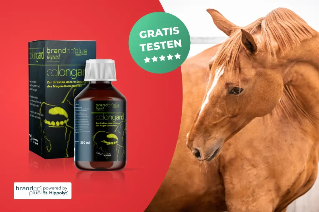 Werbebanner für „Brandon® plus colongard liquid“ zur Magen-Darm-Unterstützung bei Pferden mit Produktverpackung, Flasche (300 ml) und Siegel „GRATIS TESTEN“ mit 5 Sternen.