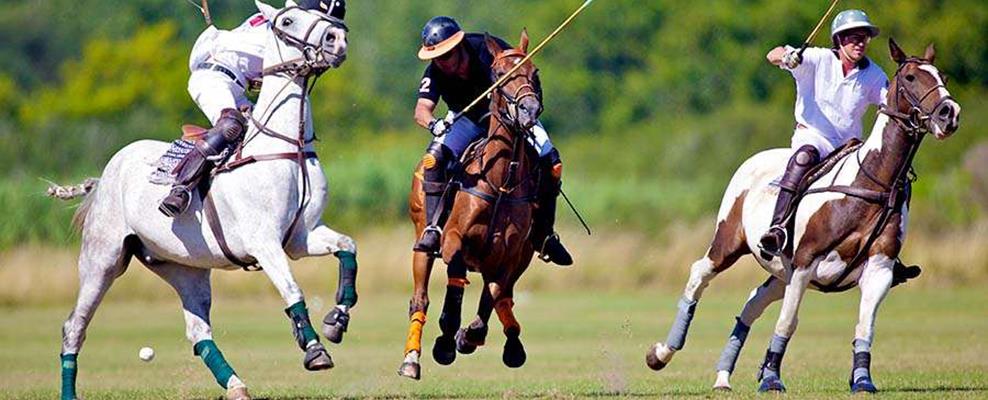 Polo Sportart