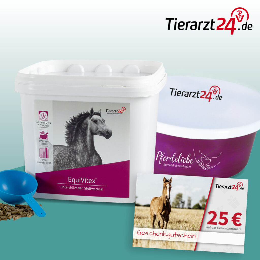 202209_Tierarzt24_BrandingWeek_01
