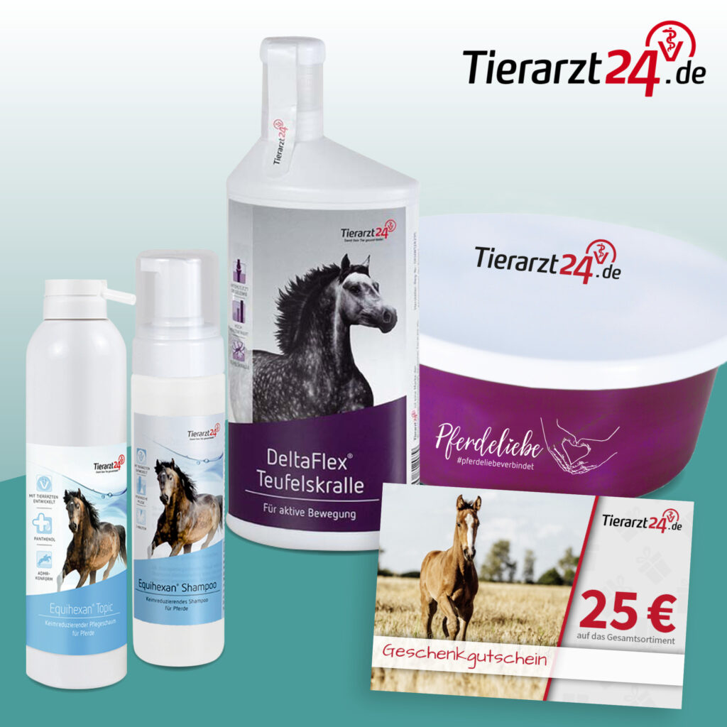 202209_Tierarzt24_BrandingWeek_02