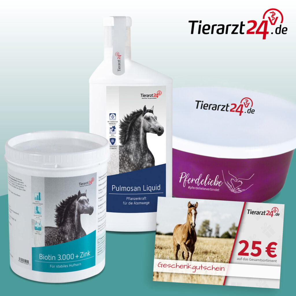 202209_Tierarzt24_BrandingWeek_04