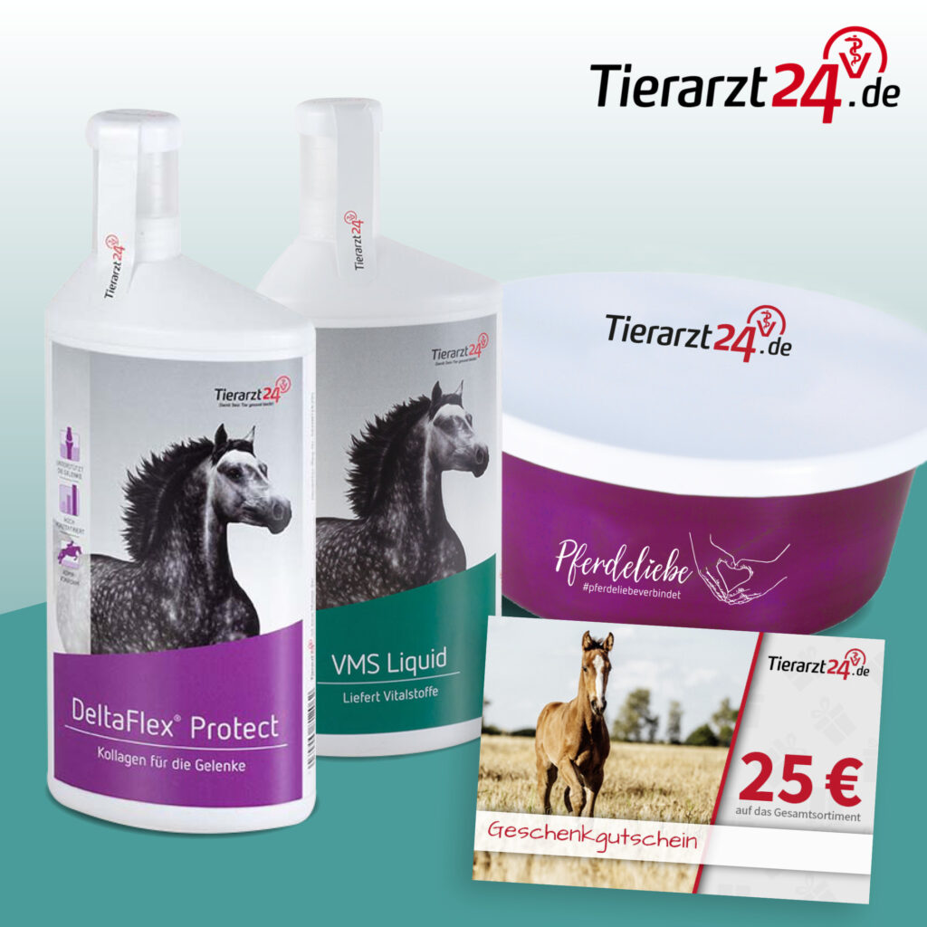 202209_Tierarzt24_BrandingWeek_06