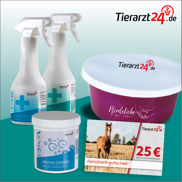 202210_Tierarzt24_BrandingWeek_Tag 5_neu