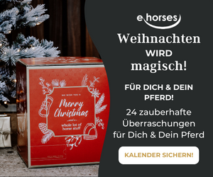ehorses Adventskalender: freue Dich auf 24 zauberhafte Überraschungen im Wert von 230€!