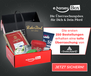 ehorses Box