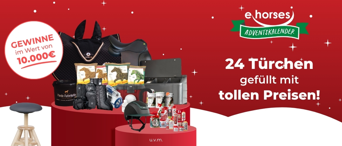 Header ehorses Adventskalender