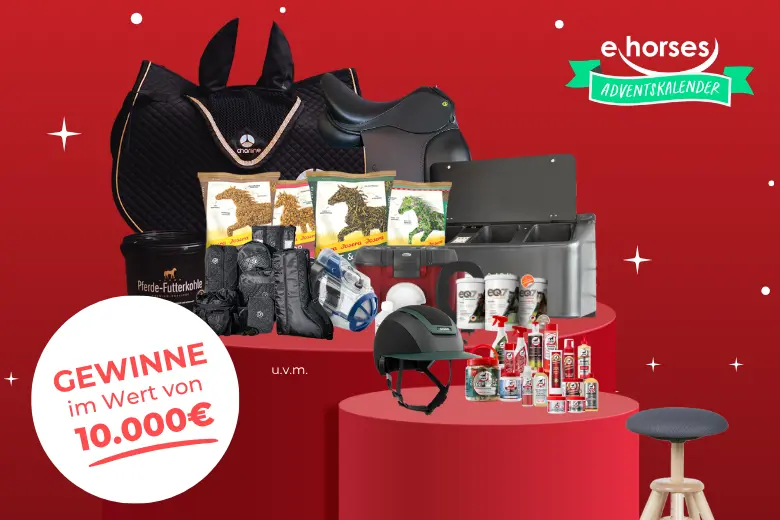VIP werden beim ehorses Adventskalender und doppelte Gewinnchance sichern