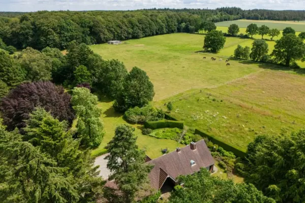 Eine Luftaufnahme, die ein ländliches Wohnhaus mit rotem Ziegeldach umgeben von altem, dichtem Baumbestand und gepflegten Gartenanlagen zeigt. Direkt an das Grundstück schließen sich weitläufige, saftig grüne Weideflächen an, auf denen in der Ferne mehrere Pferde grasen. Im Hintergrund wird die idyllische Landschaft durch einen ausgedehnten, dunklen Waldrand unter einem hellen, leicht bewölkten Himmel begrenzt.