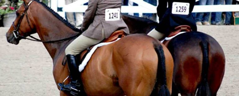 Was ist Westernreiten überhaupt? – Das Westernreiten