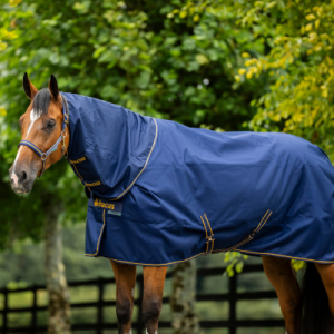 Produkttest mit Bucas: Pferd mit Irish Turnout Decke