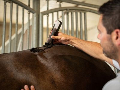 ehorses Produkt des Monats im November: OPAL HORSE Schermaschine