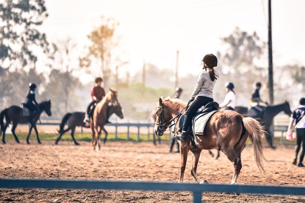 Wer hat Vorfahrt beim Reiten