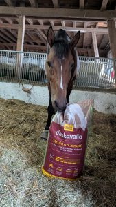 Erfahrungen mit dem deukavallo Strukturgenuss