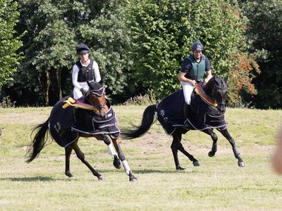 Trakehner Bundesturnier