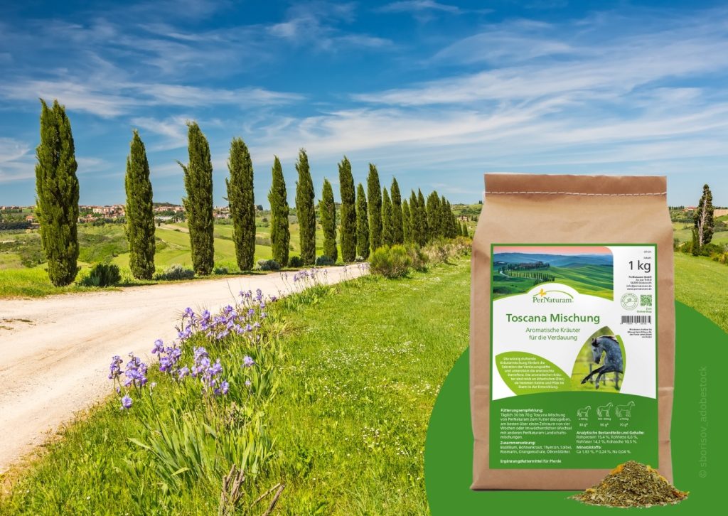 Landschafstmischungen für Pferde: Toscana Mischung