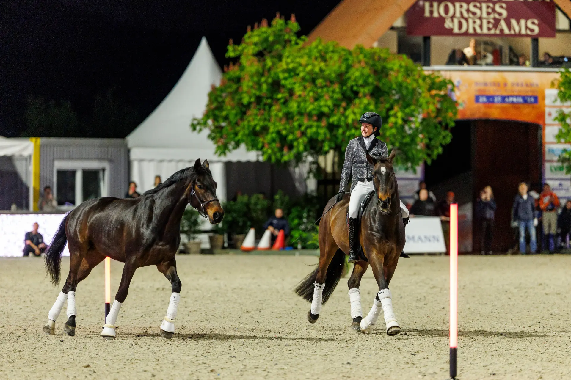 Lisa Röckener bei Horses & Dreams