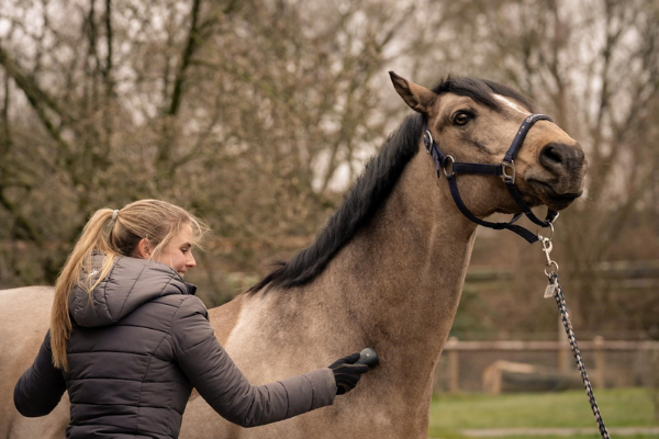 Das Pferd fühlt sich sichtlich wohl mit dem NOVAFON power am Hals und streckt sich