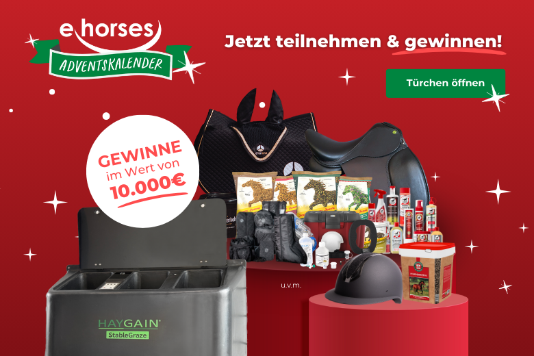 Gewinne beim ehorses Adventskalender