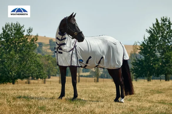 Gewinne ein Deckenset von Weatherbeeta im Wert von 280€