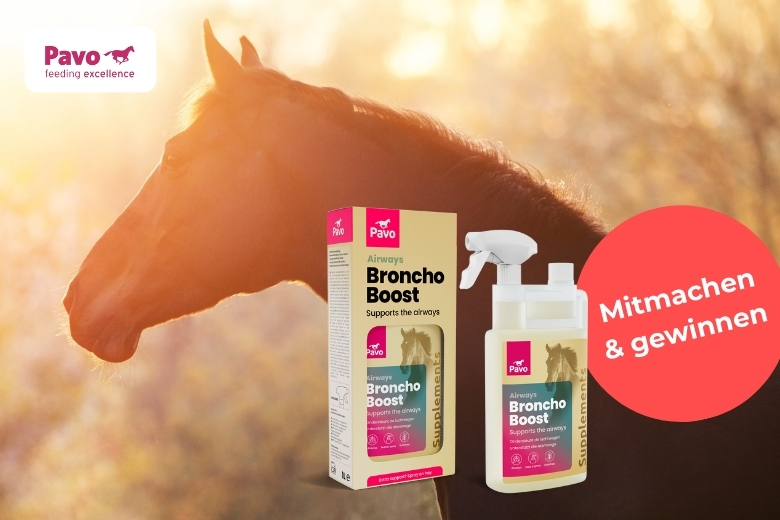 Gewinnspiel mit Pavo BronchoBoost gewinnen
