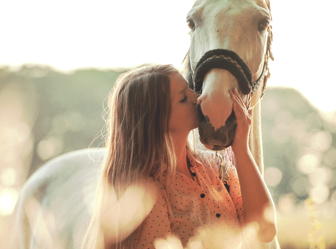 ehorses Magazin: Alles zu Pferderassen, -sportarten & -wissen