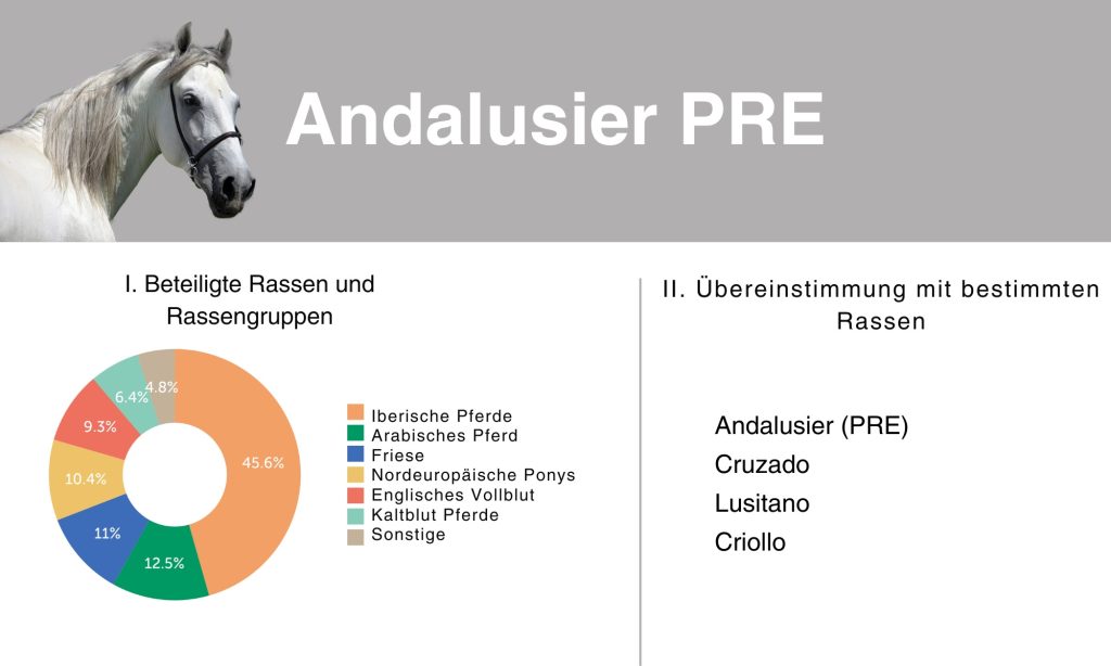 DN Test beim Pferd: Einblick in die Analyse von Generatio