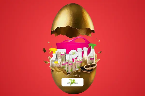 Gewinn zur ehorses Ostereiersuche von Bense & Eicke