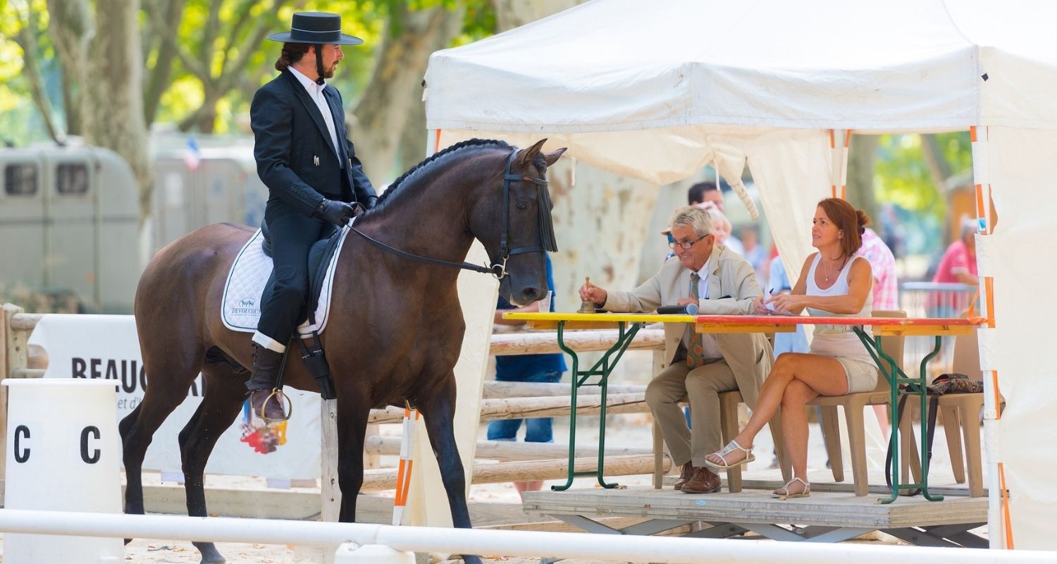 ehorses Top 10: Spitzenvererber im Dressursport