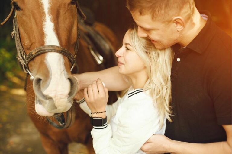 Beziehungskiller Pferd – Stimmt es wirklich?