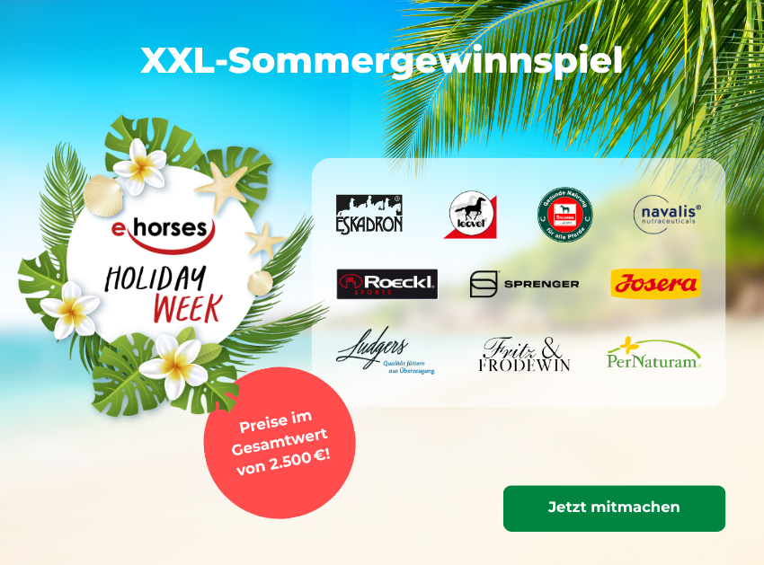 ehorses Holiday Week - Sommer Gewinnspiel mit Preisen im Wert von 2500€