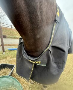 Erfahrungen Bucas Irish Turnour Decke