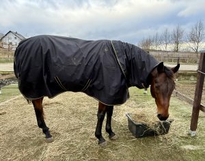 Erfahrungen Bucas Irish Turnour Decke